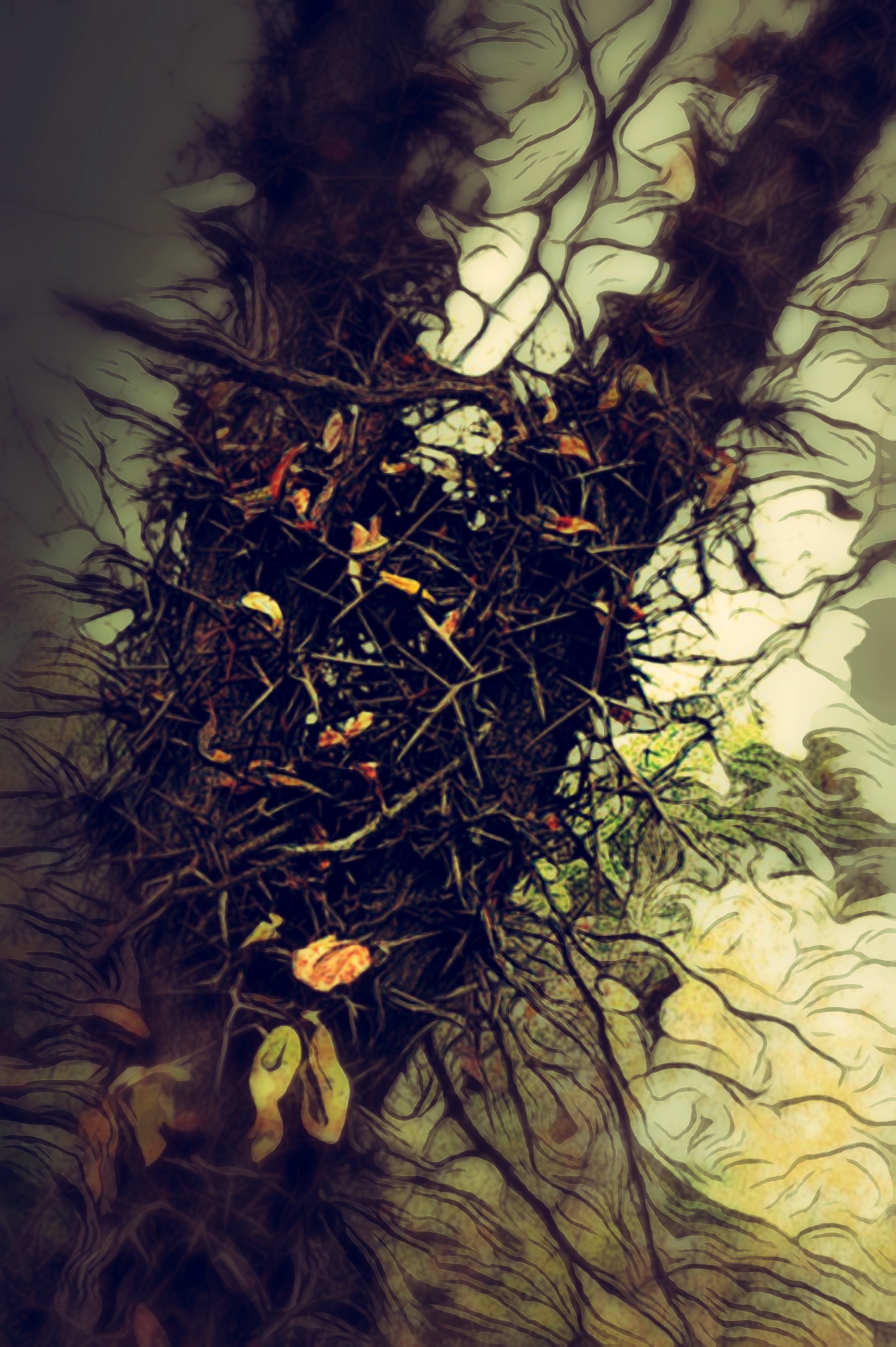 Autism in Art: Recent Work (Slideshow)