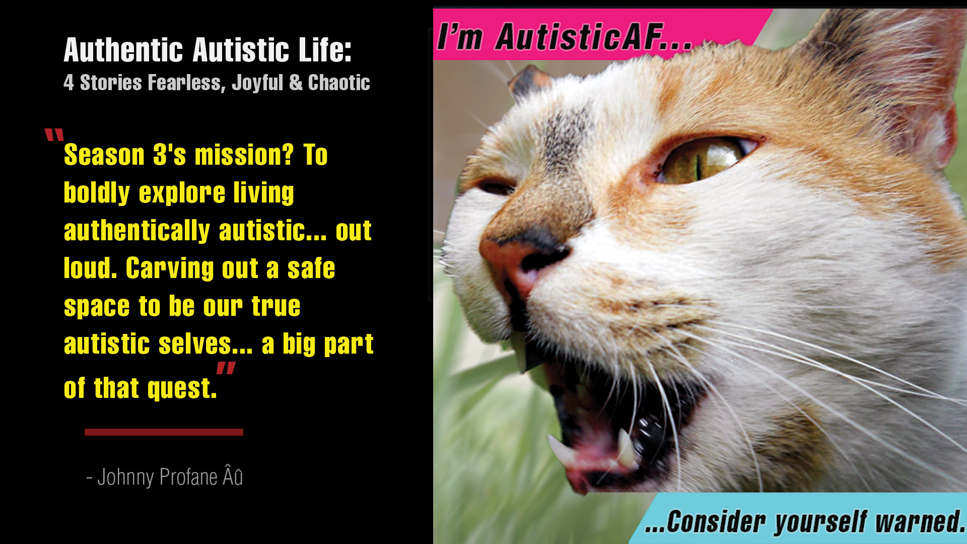 Authentic Autistic Life: 4 Short Stories Fearless, Joyful & Chaotic